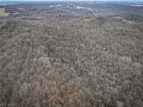 Tiny photo for 0 Tract 14 CR 7 Rear, Caldwell, OH 43724 (MLS # 5194455)