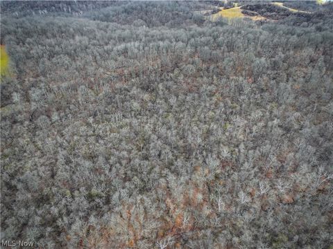 Tiny photo for 0 Tract 14 CR 7 Rear, Caldwell, OH 43724 (MLS # 5194455)