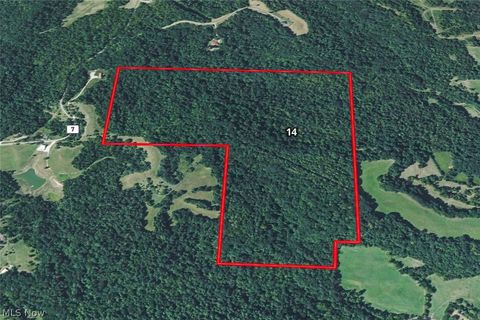 Tiny photo for 0 Tract 14 CR 7 Rear, Caldwell, OH 43724 (MLS # 5194455)