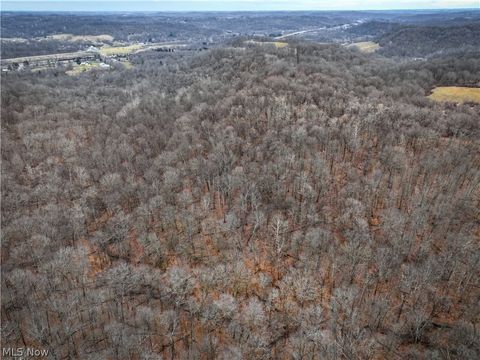 Tiny photo for 0 Tract 14 CR 7 Rear, Caldwell, OH 43724 (MLS # 5194455)