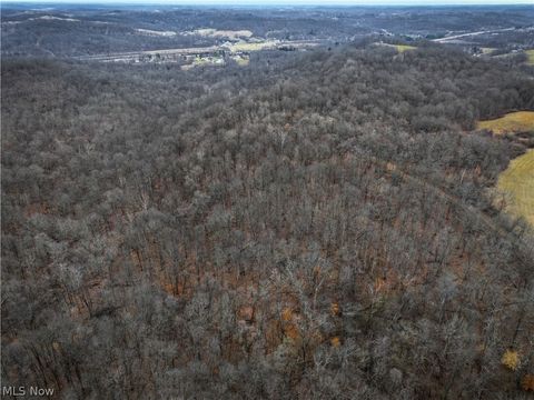 Tiny photo for 0 Tract 14 CR 7 Rear, Caldwell, OH 43724 (MLS # 5194455)