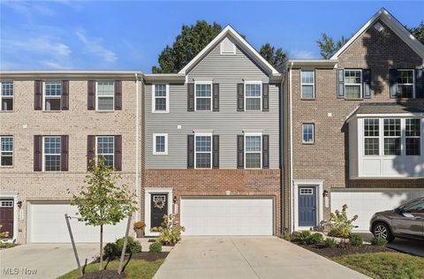 1113 Bean Lane Akron OH 44313