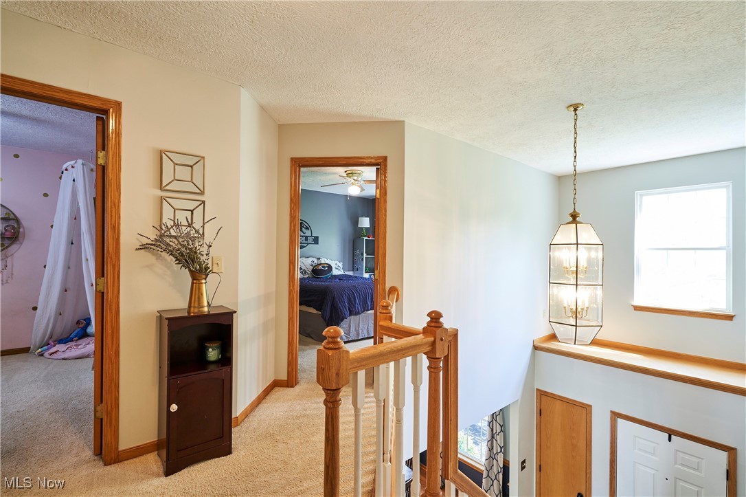 613 W Sturbridge Drive, Medina, Ohio image 13