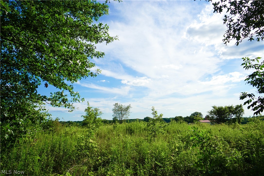 Little Piece of Paradise! Just under 6 acres in Poland Schools (Lowellville mailing). This beautiful piece of property is overgrown now (please wear appropriate footwear when going to see it) but could be absolutely beautiful with your dream home built on it, nestled way back in off the road. There currently is a well on the property and 3 older barns/buildings that may need some repair. The entrance is 24 wide x 450 long then it opens up into space that is approx 1045 deep x 243 wide. Call to see if this is the future site of your dream home!