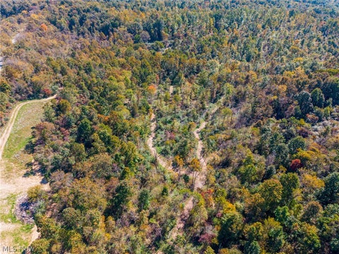 Tiny photo for Keithtown Road, Caldwell, OH 43724 (MLS # 5251951)