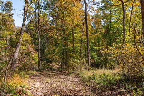 Tiny photo for Keithtown Road, Caldwell, OH 43724 (MLS # 5251951)