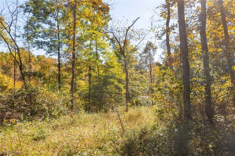 Tiny photo for Keithtown Road, Caldwell, OH 43724 (MLS # 5251951)