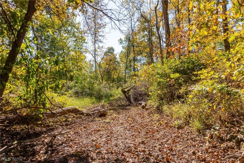 Tiny photo for Keithtown Road, Caldwell, OH 43724 (MLS # 5251951)