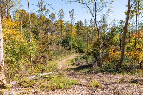 Tiny photo for Keithtown Road, Caldwell, OH 43724 (MLS # 5251951)