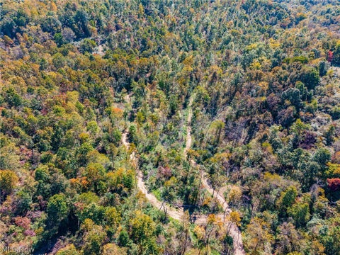 Tiny photo for Keithtown Road, Caldwell, OH 43724 (MLS # 5251951)