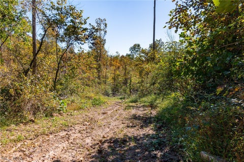 Tiny photo for Keithtown Road, Caldwell, OH 43724 (MLS # 5251951)