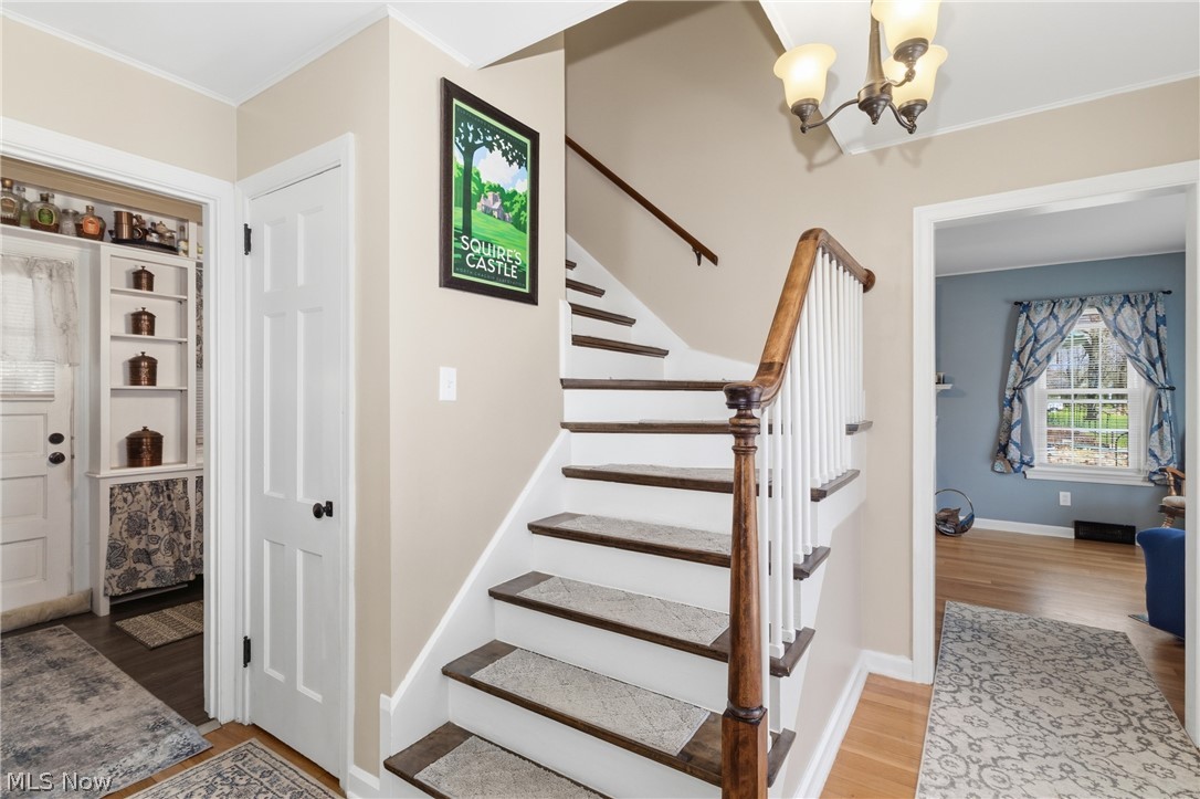 Riddle - Residential