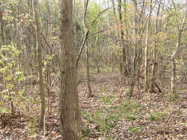 Akron - Land