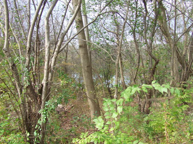 Akron - Land
