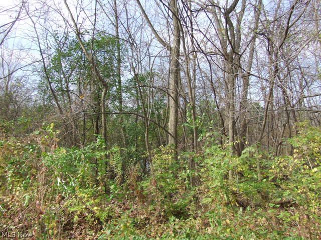 Akron - Land