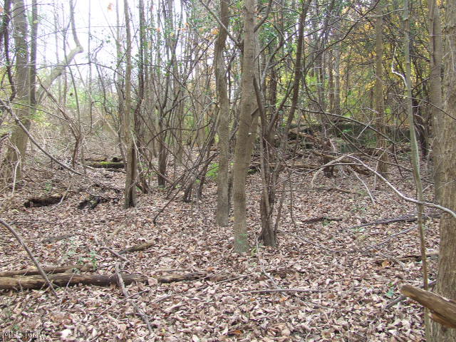 Akron - Land