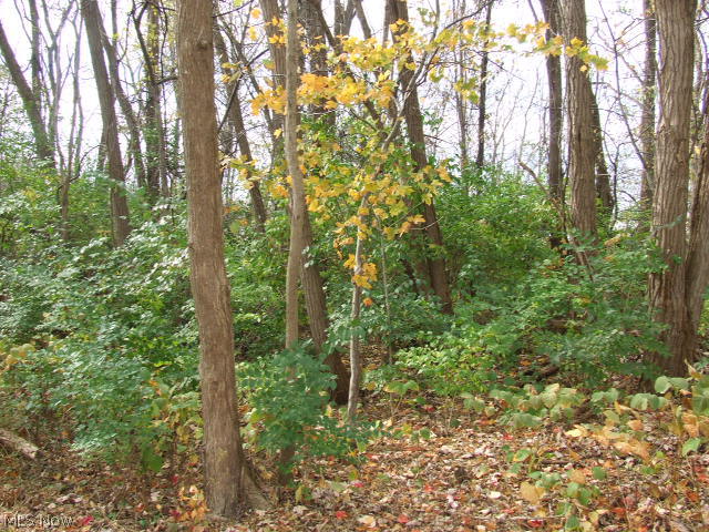 Akron - Land