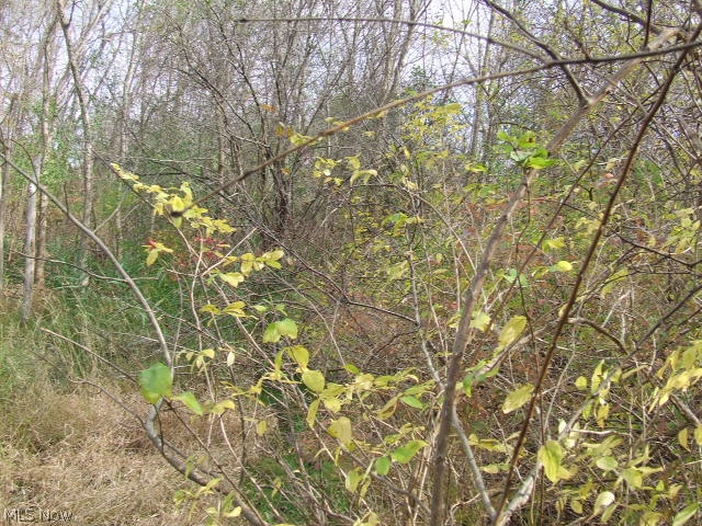 Akron - Land