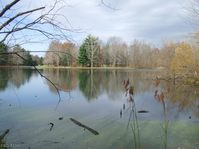 Rare, vacant land located on Marion Lake, on Cuyahoga Falls/Akron border. Last parcel of three to be sold, approximately 5.22 acres, part of it water. Part of land fronts Marion Lake and part fronts Little Beaver Pond. Possible to request seller to have road removed on property as contingency of sale if desired.