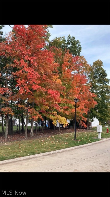 Rockport Colony Condo Ph 1-D - Residential