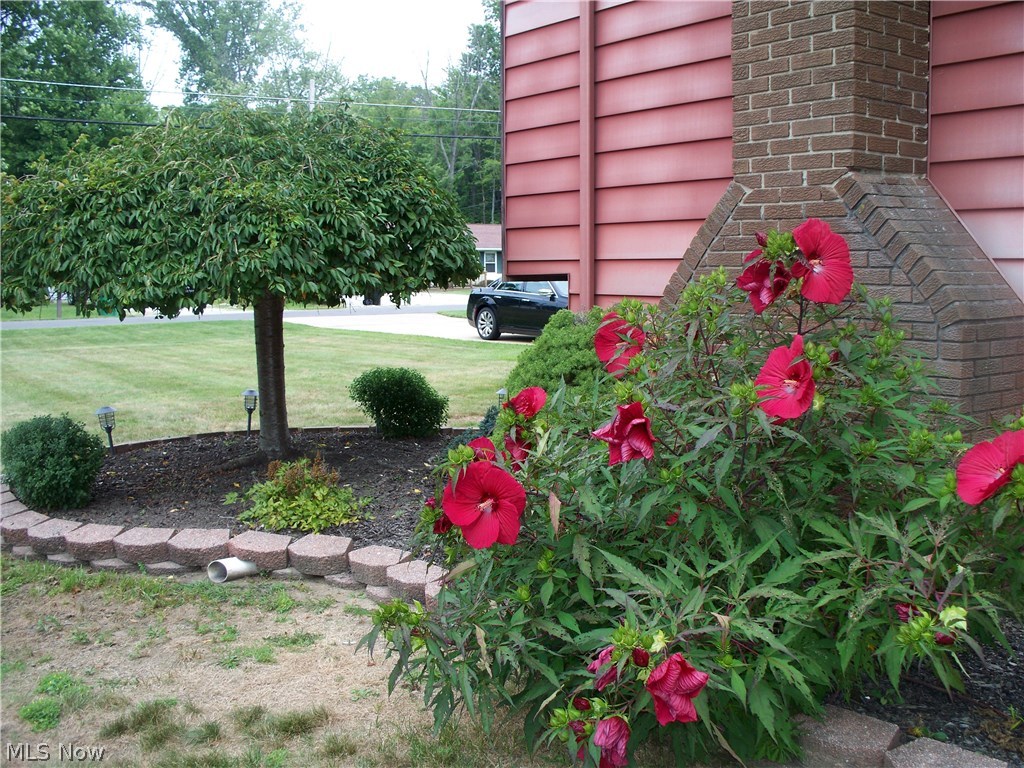 Kimball Estate - Residential