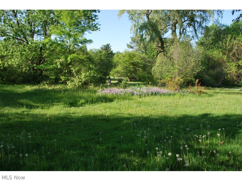 Pepper Pike Village - Land