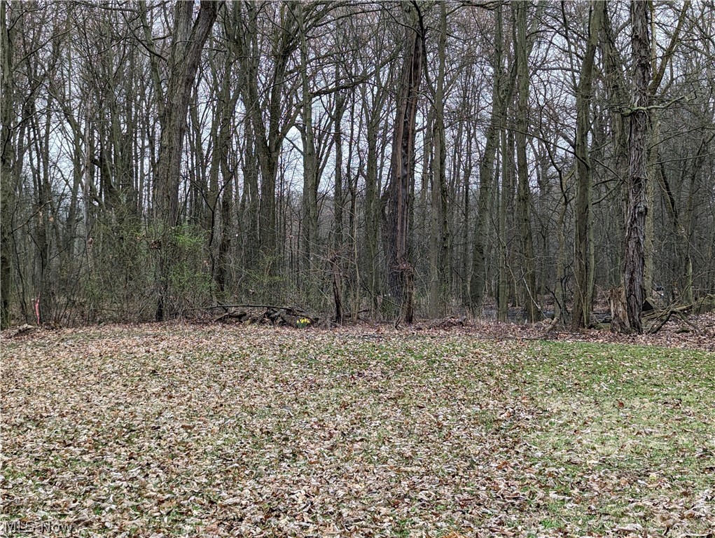 Mason Farm Acres - Land