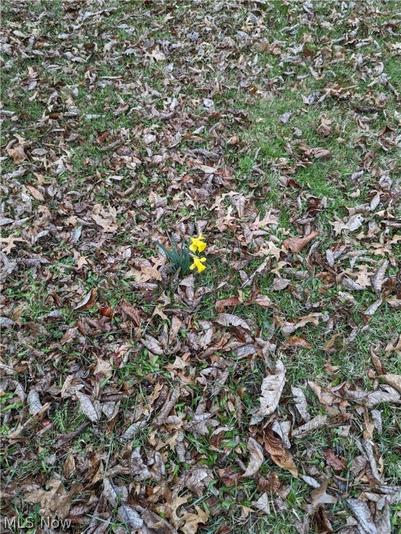 Mason Farm Acres - Land