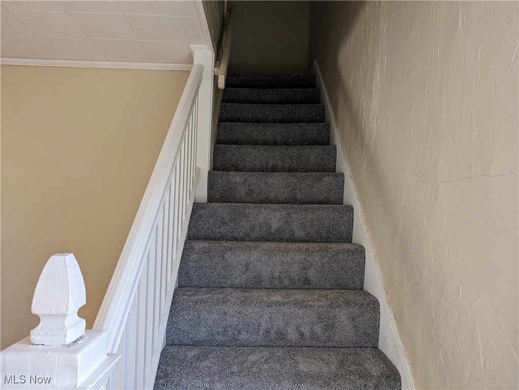 Kenmore Allotment - Residential Lease