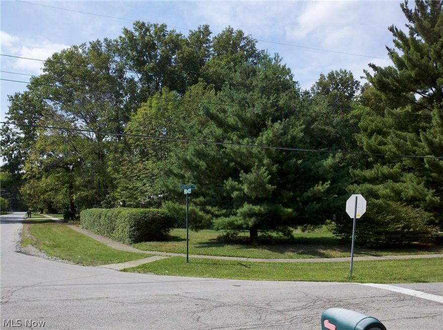 Excellent Building Site in Desirable Strongsville Neighborhood! Level Site with Some Trees. Walking Distance to Drake Elementary School, Close to Strongsville Mall, Rec Center, and Restaurants. Short Commute to Airport. 90x170 Lot Size. Buy Now & Be Ready For Spring Time Building. Ripe & Ready to Sell!