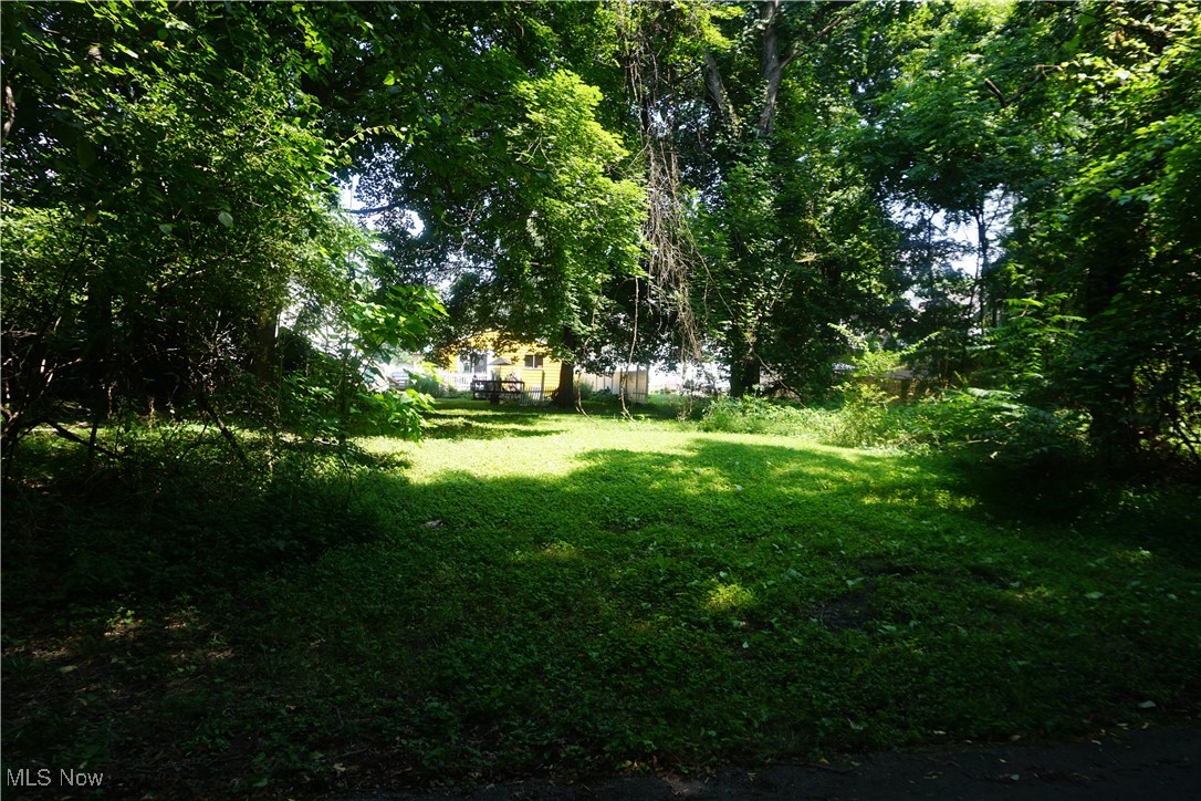 Vacant residential lot in Akron! This 4,500 sq. ft. (0.10 acre) parcel near Bellevue Ave is ready for your next build or investment project. Located within Akron City Schools and close to parks, shopping, and highway access. Public water and sewer available. Sold as-is; buyer to perform all due diligence regarding zoning, utilities, and assessments.