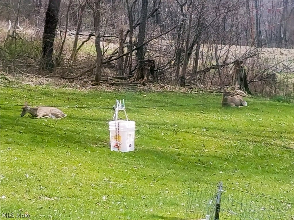 Rathbone Tr - Residential