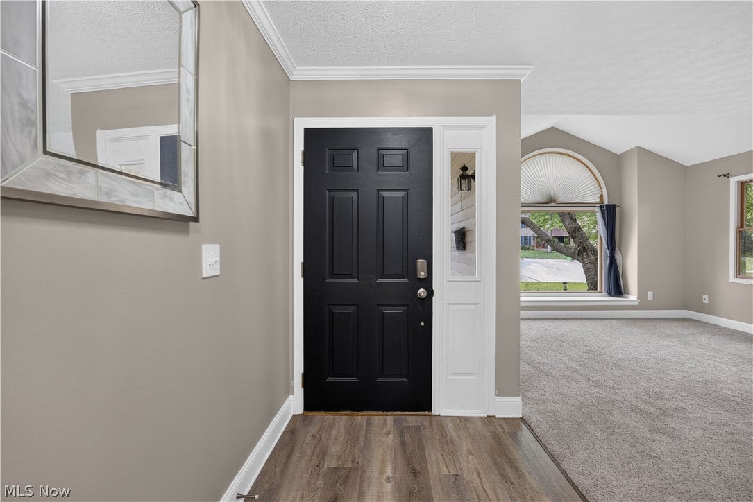 237 Butternut Lane