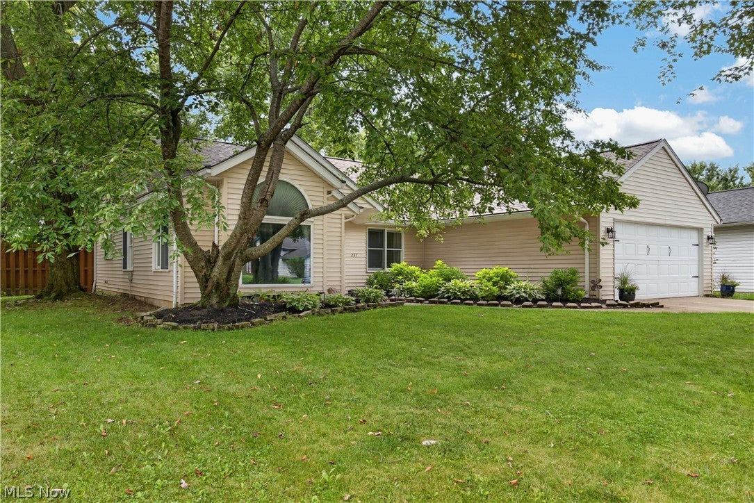 237 Butternut Lane