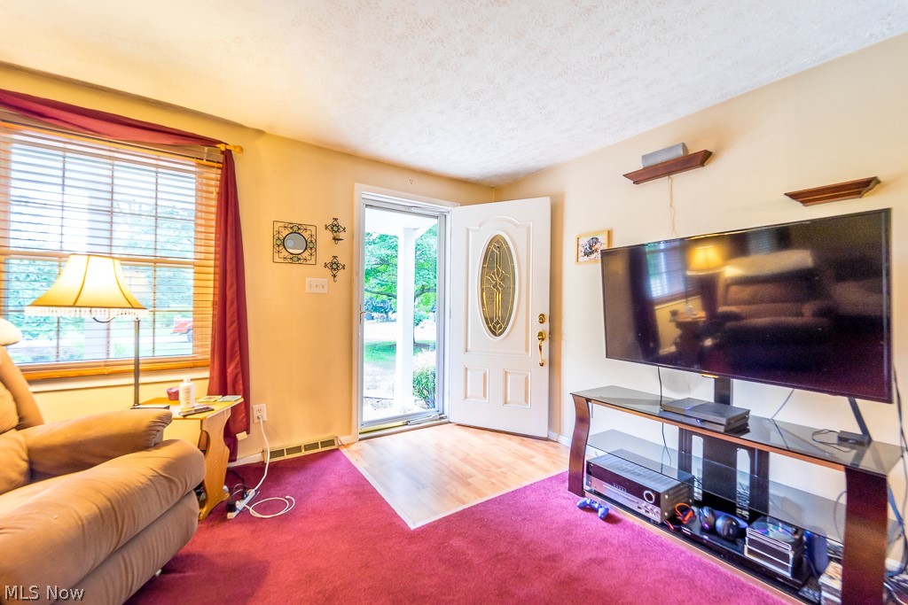 Pine Lake - Residential