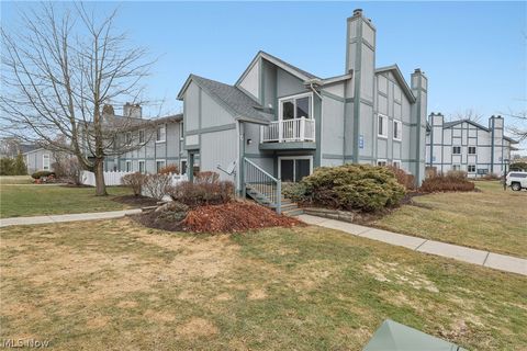 9024 Portage Pointe Drive G Streetsboro OH 44241