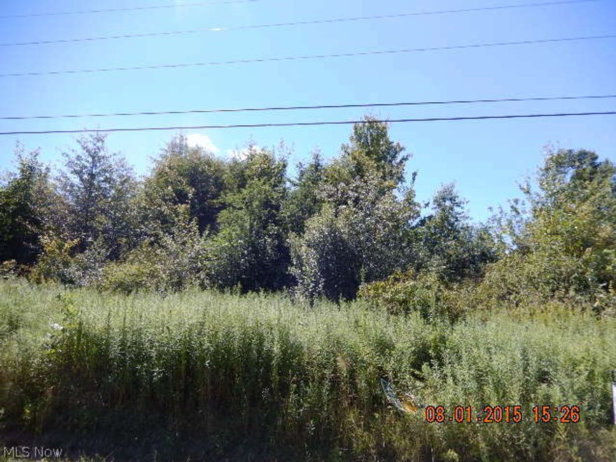 Prime location just over the Geauga County border. Property is L shaped, and fronts both Gar Hwy (rt. 6), estimate of 793' of road frontage, and Ireland Road (302' frontage).  Buyer may use due diligence regarding lot split, and road frontage. Build your dream home, bring your horses, use your imagination on this blank slate!