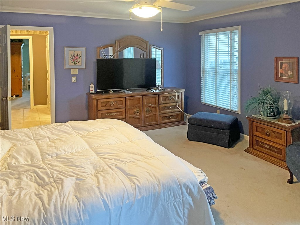 Carrington Sub - Residential