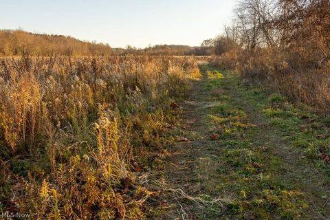 Vacant Land For Sale - Lambert<br/> Muskingum County, Roseville, OH 43777