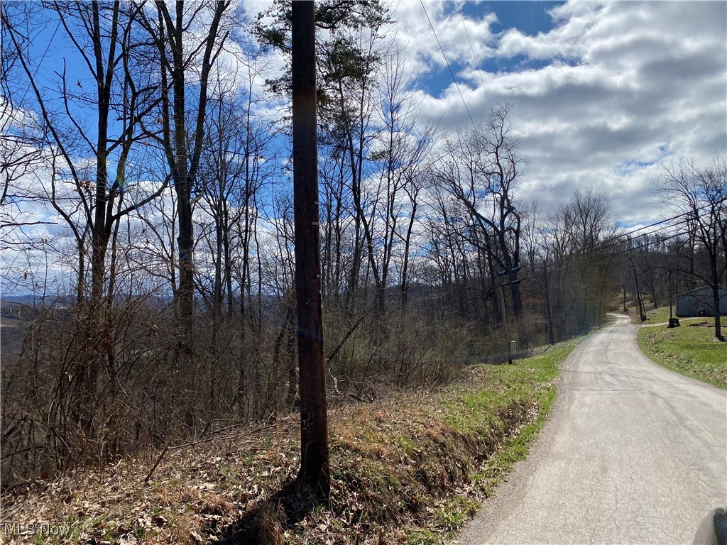 Bogal Ridge Ridge, Mineral Wells, West Virginia image 3