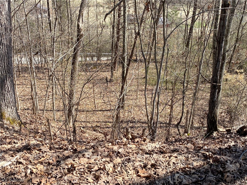 Bogal Ridge Ridge, Mineral Wells, West Virginia image 14