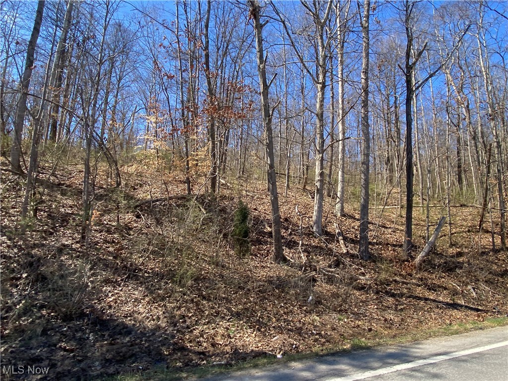 Bogal Ridge Ridge, Mineral Wells, West Virginia image 7