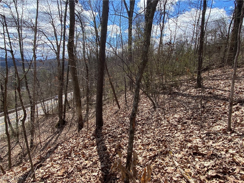 Bogal Ridge Ridge, Mineral Wells, West Virginia image 10