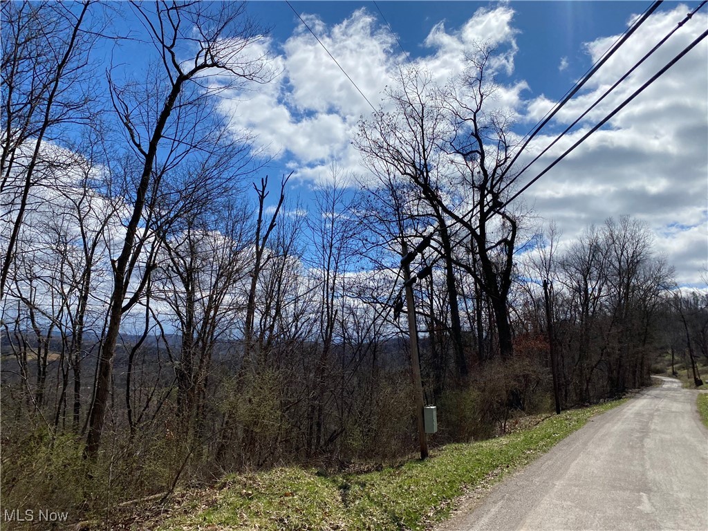 Bogal Ridge Ridge, Mineral Wells, West Virginia image 15