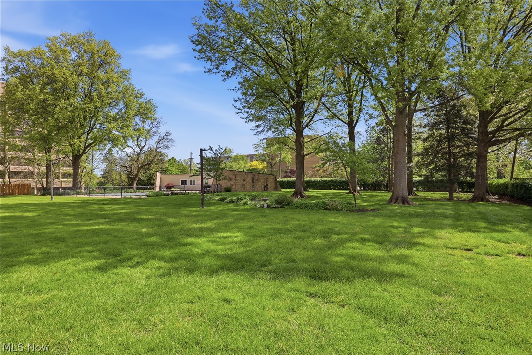 Saxon House Condo - Residential