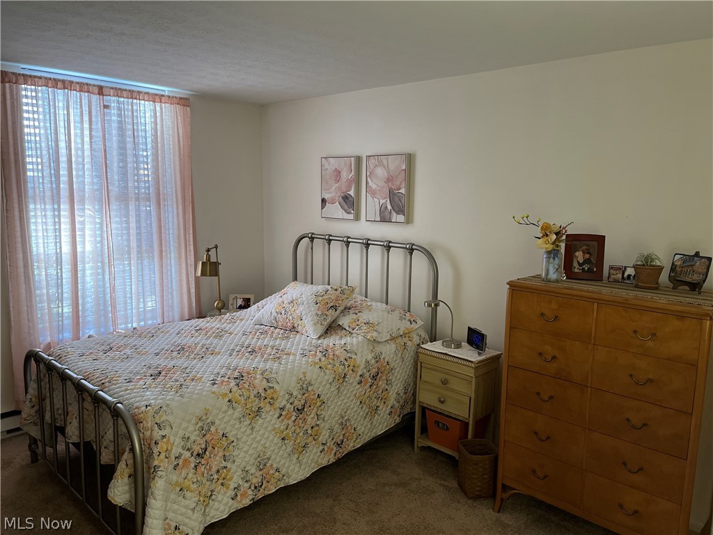 Silver Lake Towers Condo - Residential
