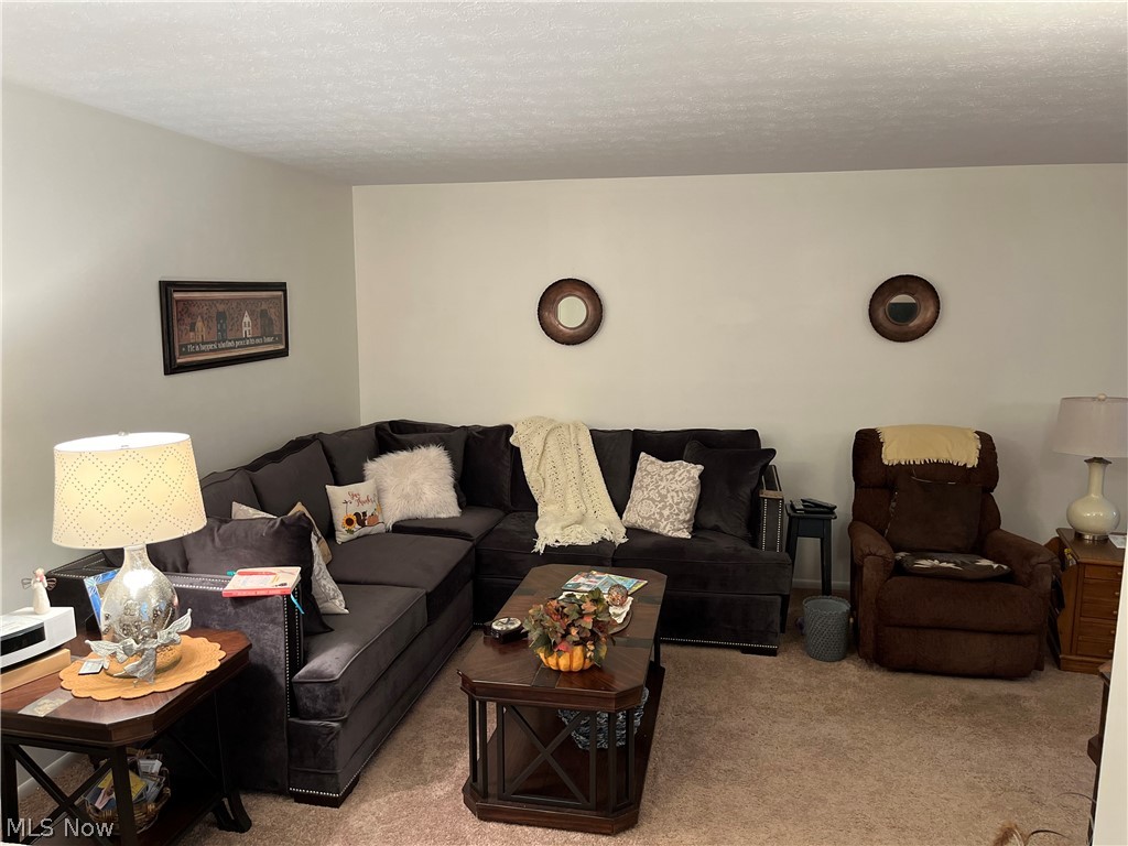 Silver Lake Towers Condo - Residential