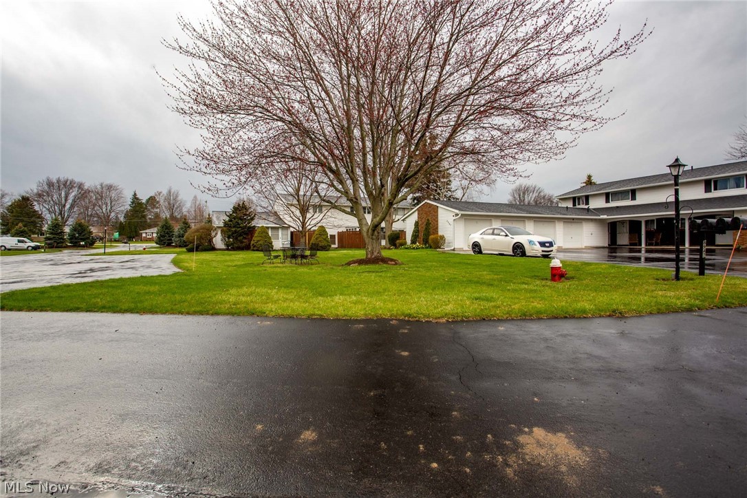 Evergreen Meadows Condo - Residential