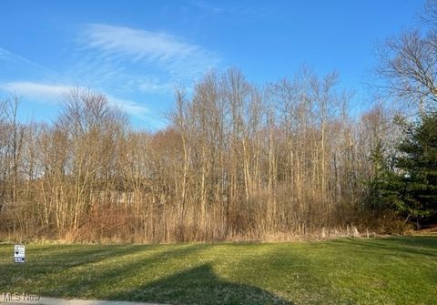 Vacant Land For Sale - Birchmont Avenue<br/> Stark County, Canton, OH 44706