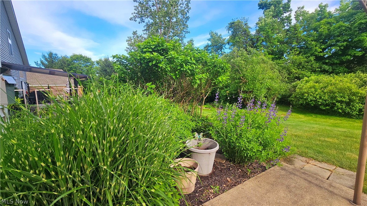 Woods/Windsor Pointe Ph I - Residential